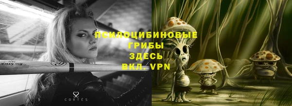 дмт Краснослободск