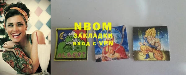 дмт Краснослободск
