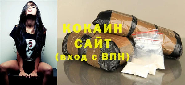 дмт Краснослободск