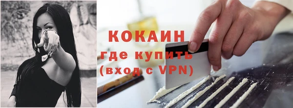 сатива Куйбышев