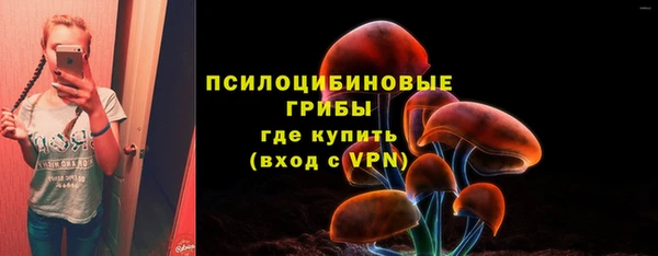 PSILOCYBIN Красноперекопск