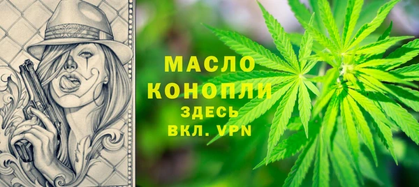 дмт Краснослободск