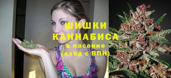 дмт Краснослободск