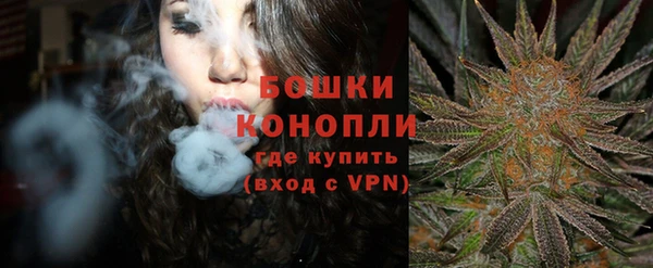 дмт Краснослободск